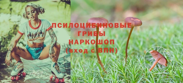 марки lsd Мегион