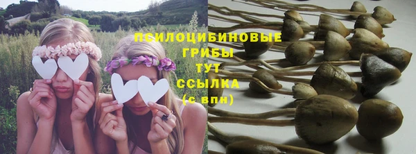 ALPHA-PVP Магас